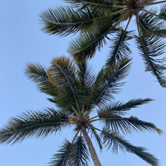 Meet your Posher, Émilie - Picture 1 of 1